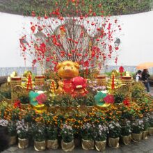 市政署 (市政署大樓)