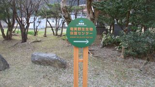 奄美野生生物保護センター