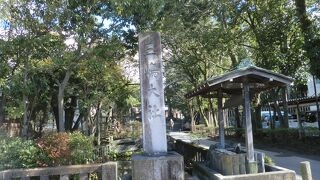 密を避け行って来ました