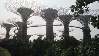 アートな植物園