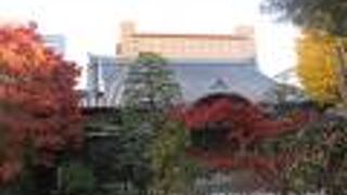 「南坊流」茶道ゆかりのお寺さん。