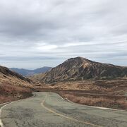 入山が規制されることがあります