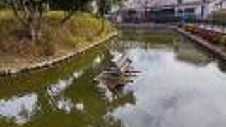 住宅地のど真ん中にあります