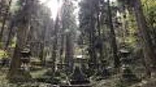 思ったより人が多かったです