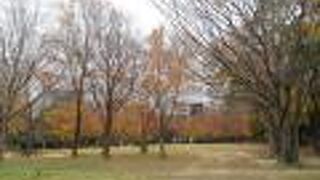 陽気が良ければ、緑も多く安らげる空間。