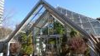 気軽に花と緑を楽しめるスポット （多摩市立グリーンライブセンター） 