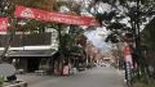 いたるところで水が湧いています