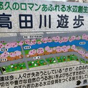 桜のシーズンにぜひ