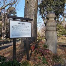 欄干の姿です。