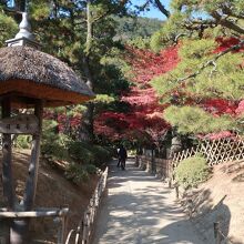 紅葉が素晴らしい