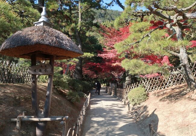 紅葉と一緒に♪