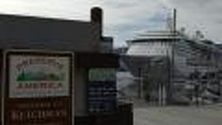 アラスカ州立公園（ケチカンエリア）