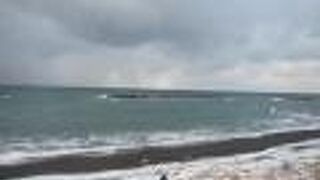 海沿いの路線なのに鹿にぶつかることもある