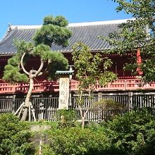 月の松と清水観音堂