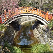 紅梅が映える御手洗川