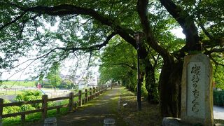 まあまあの風情かな