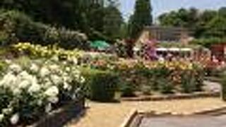 お寺にある洋風バラ庭園