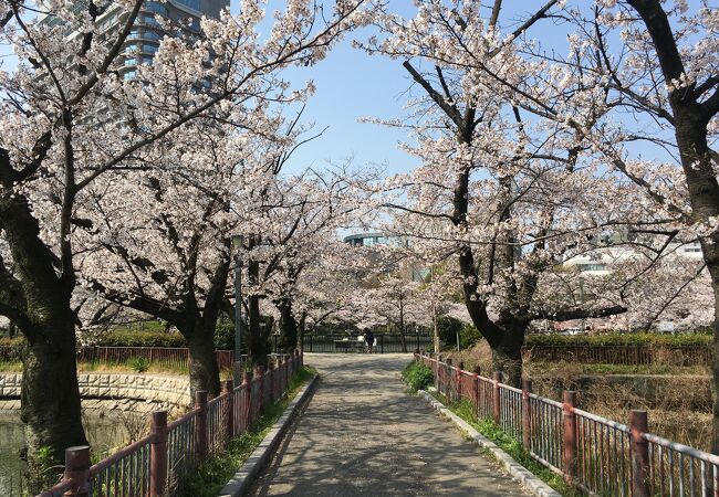 キタ 大阪駅 梅田 の花見 クチコミ人気ランキング フォートラベル 大阪