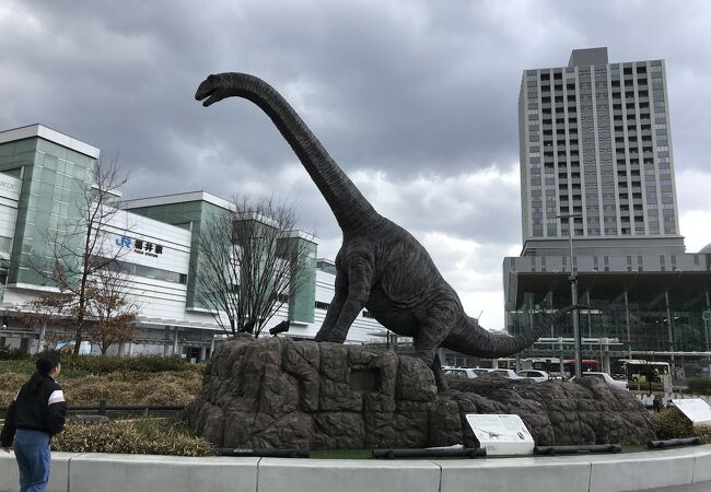 福井駅 恐竜広場 クチコミ アクセス 営業時間 福井市 フォートラベル 福井駅 恐竜広場 クチコミ アクセス 営業時間 福井市 フォートラベル