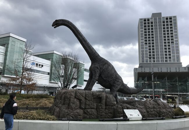 福井駅 恐竜広場 クチコミ アクセス 営業時間 福井市 フォートラベル