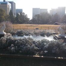 素敵な姿です。