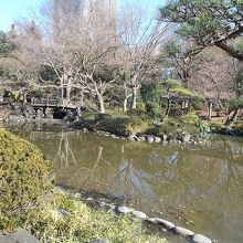 池の一部の様子です。