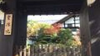 座禅体験しました