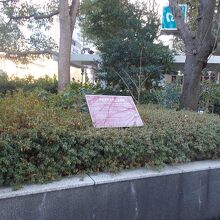 跡の様子です。