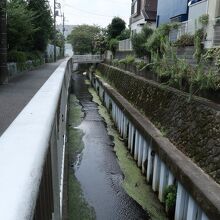 等々力渓谷公園を過ぎると普通の川に