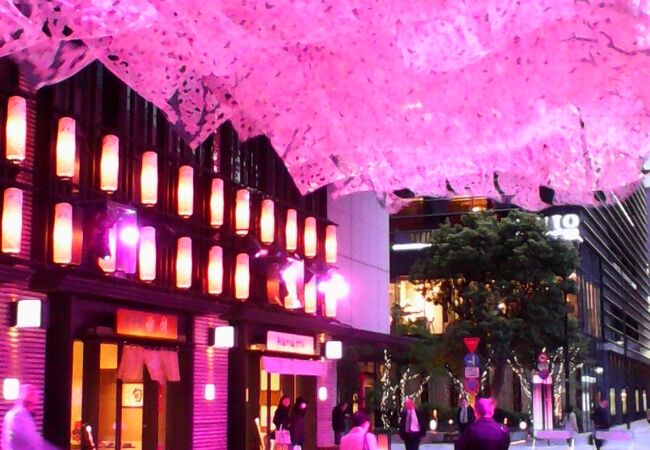 夜の日本橋周辺が桜色一色に染まって華やかでした