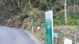 散策、見晴らし、花見