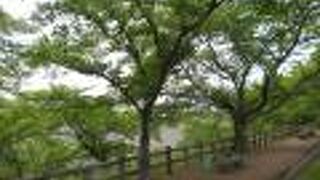 三密とは無縁の世界