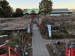 亀戸のおすすめ観光スポット クチコミ人気ランキングtop フォートラベル 東京 亀戸のおすすめ観光スポット クチコミ人気ランキングtop フォートラベル 東京