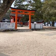 松の木に囲まれた神社