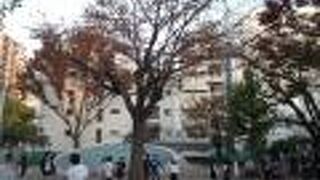 勝海舟生誕の地にある児童公園