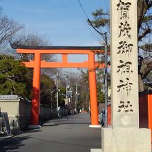 この鳥居から長い参道をゆっくり歩きます