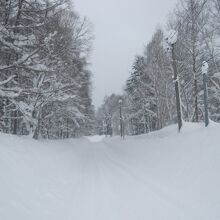 美しい銀世界を独り占めしてウォーキングを楽しめます！