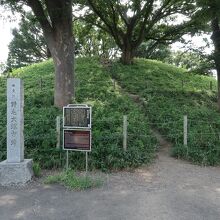 野毛大塚古墳