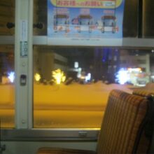 こじんまりとした電飾はバス車内からも楽しめました