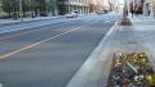 中央通りとは思えない光景でした