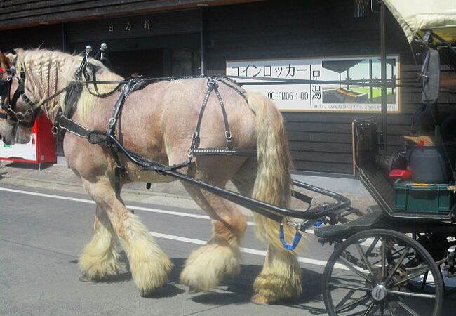 観光辻馬車 クチコミ アクセス 営業時間 湯布院 由布院温泉 フォートラベル