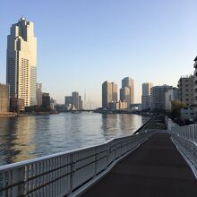 隅田川テラスです。