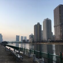 隅田川テラスです。