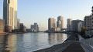 隅田川テラスでジョギング！走りやすくて気持ちいい