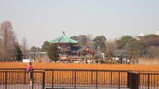 天気良かったので散歩