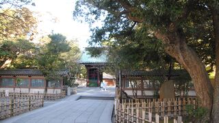 いつも大仏様の前で「気」を感じます。