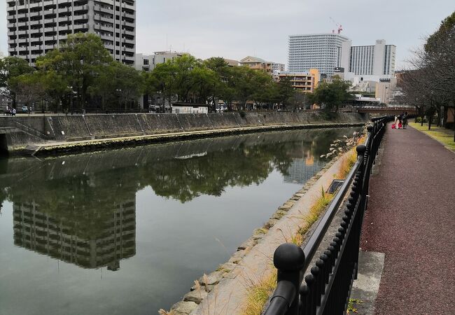 甲突川左岸緑地 クチコミ アクセス 営業時間 鹿児島市 フォートラベル