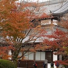 青龍殿は庭園の紅葉の中にあります。