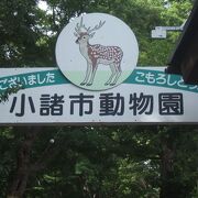 懐古園の中にある小さな動物園