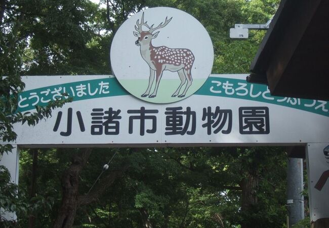 長野県の動物園 クチコミ人気ランキングtop16 フォートラベル 長野県の動物園 クチコミ人気ランキングtop16 フォートラベル